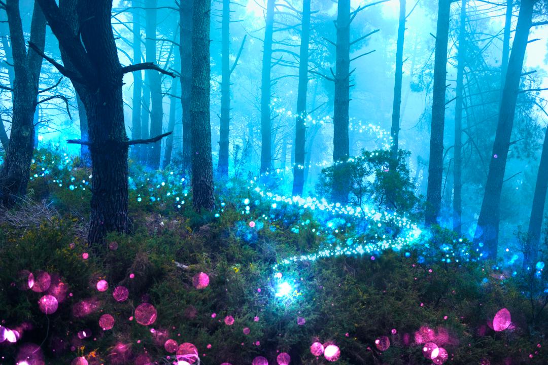 Nft_Image